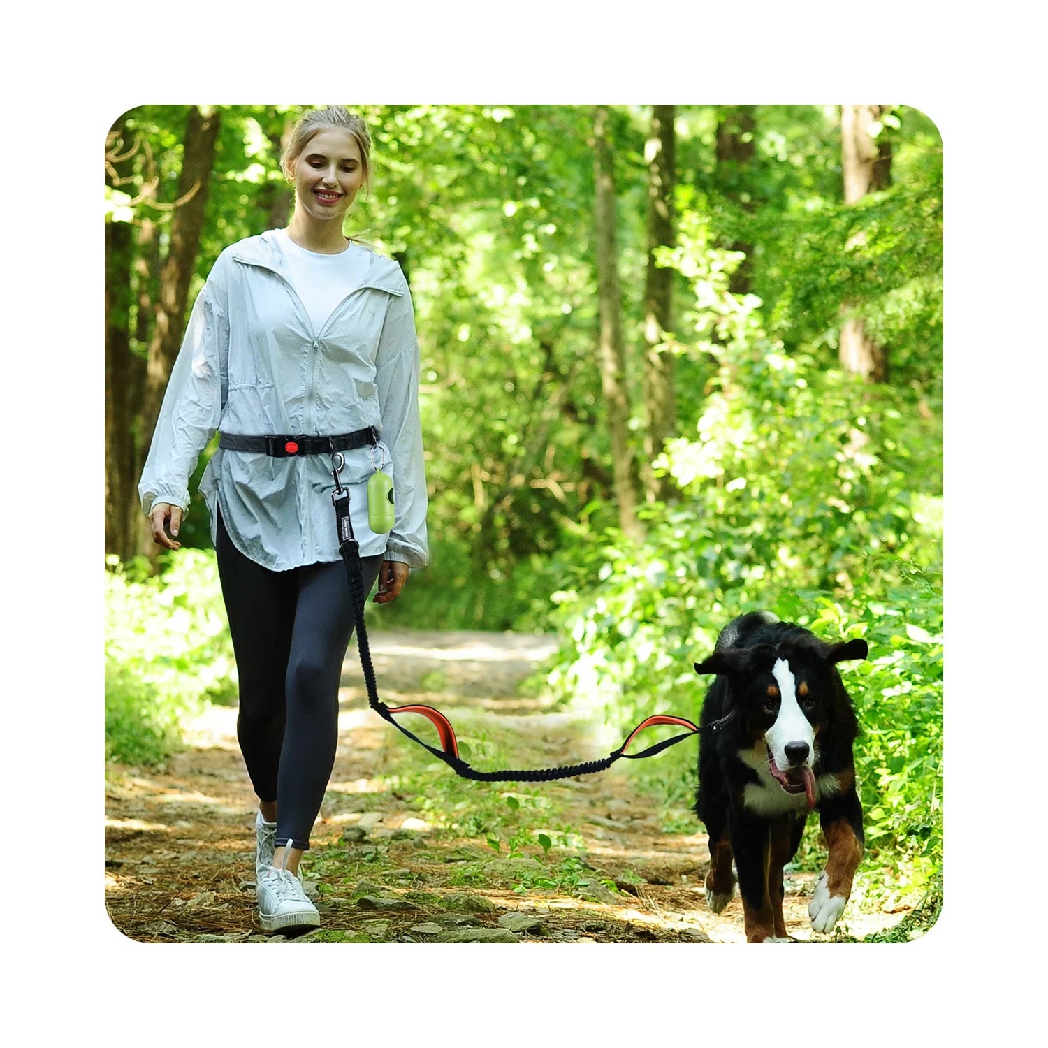 Collars, Leashes and Harnesses