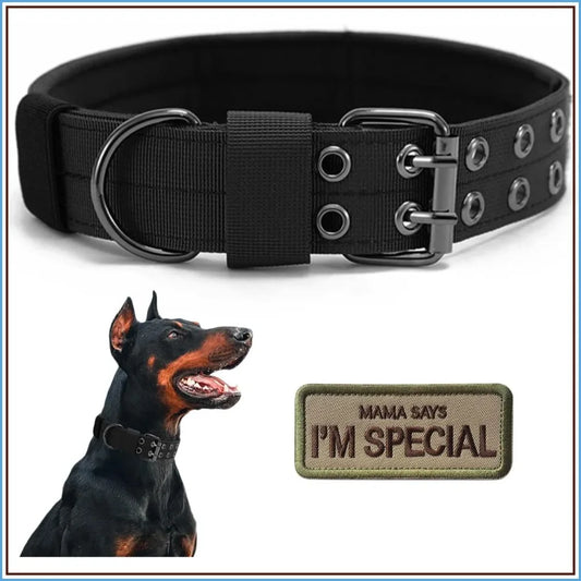 Military Dog Collar, Adjustable Nylon with Metal Buckle, Soft Padded, for Medium Large Dogs, Black M